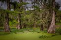 044 Lake Martin, Breaux Bridge